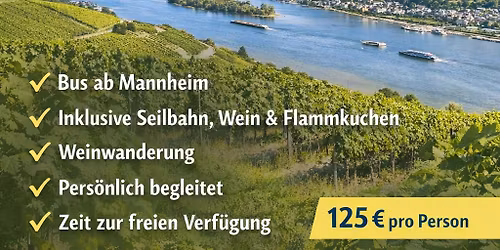 Weinwanderung in R\u00fcdesheim - Busfahrt ab Mannheim