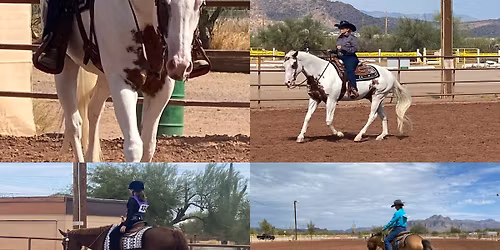 EAST VALLEY ARABIAN Open Breed Shiw