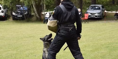 Otev\u0159en\u00fd z\u00e1vod dle NZ\u0158 \/ MZ\u0158