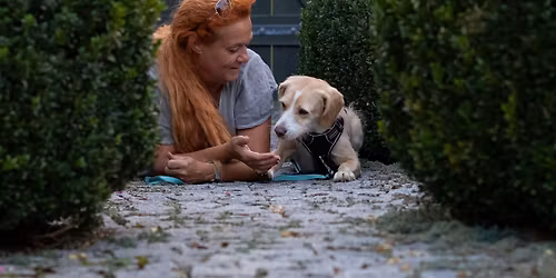 TELLINGTON TTOUCH HUND -  TAGESKURS