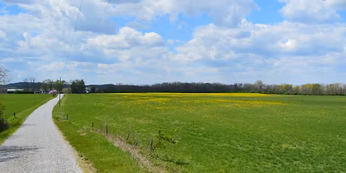 High Bank Works Discovery Event