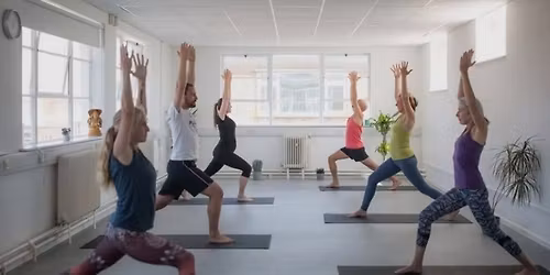 Beginners Yoga: Level 2