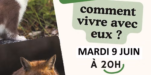Conf\u00e9rence petits pr\u00e9dateurs sauvages.
