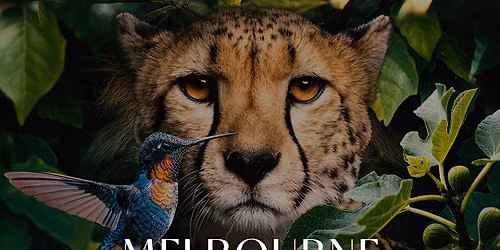 MELBOURNE CUP 2026 | SOKO BRISBANE