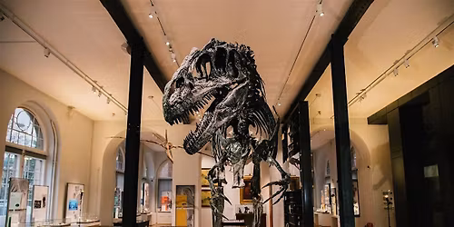 Lapworth Museum Monthly Free Guided Tour