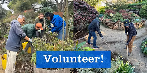 Garden Volunteer Shifts