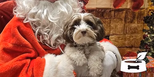 Bone & Biscuit Santa Pet Pics Fundraiser 