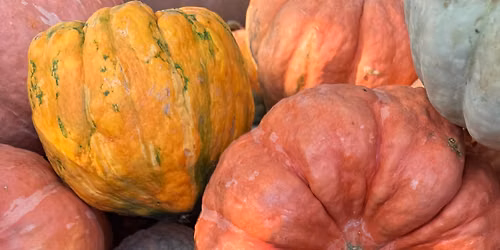 Harvest Celebration at The Garden!