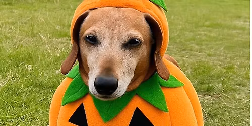 Spooky Sausage Stroll