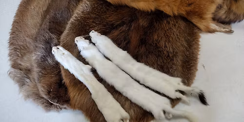 November Saturdays: Fur Trade