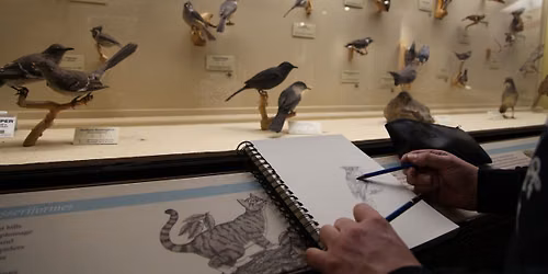 Art & Write Night