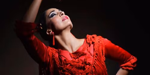 Teatro Flamenco: espect\u00e1culo Emociones