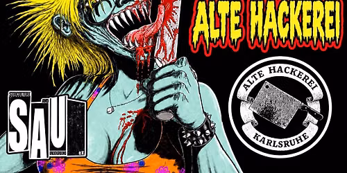 The Acc\u00fcsed \/\/ Alte Hackerei