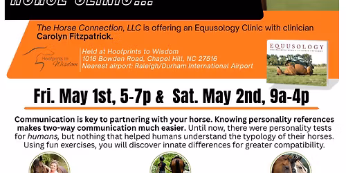 Equusology Clinic