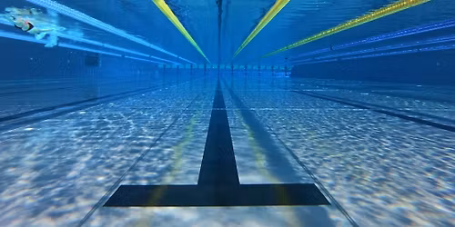 Masters & Triathlete Swim Camp.