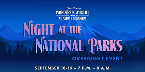 Public Overnight: Night at the National Parks