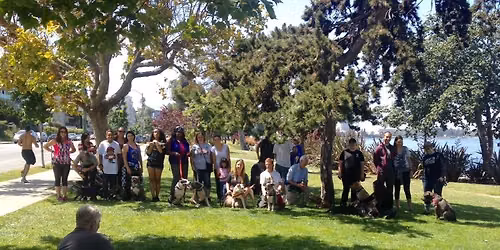 Community Pack Walk: Lafayette
