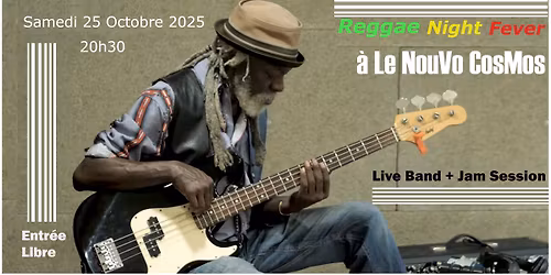 Reggae Night Fever