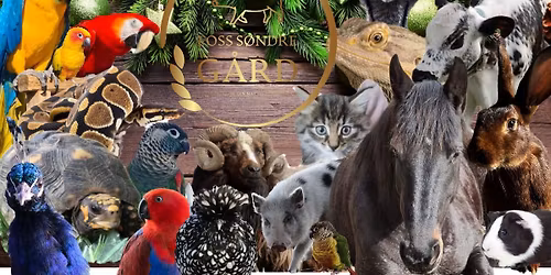 Julemarked p\u00e5 Foss S\u00f8ndre G\u00e5rd