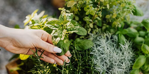 A Garden Blooming with Nutrients by Katherine Ferruzzi, MScN
