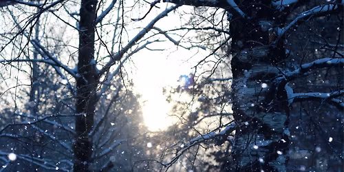 Winter Solstice Celebrations