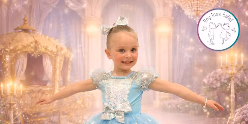 THE BALLERINA BALL \ud83e\ude70 \ud83d\udc96