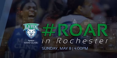 WNBA Preseason - Minnesota Lynx at Washington Mystics at Carefirst Arena