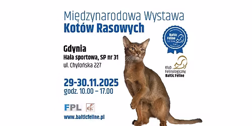 Międzynarodowa Wystawa Kotów Rasowych Gdynia 29&30 listopada 2025