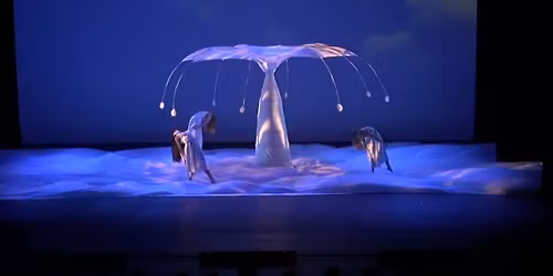 Momix Botanica - Season 2