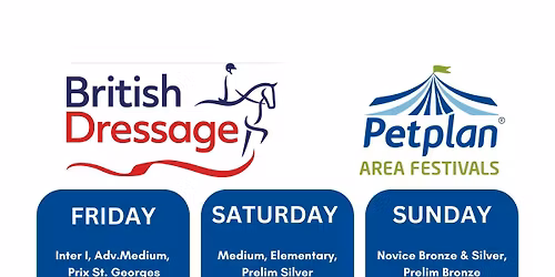 Petplan Winter Area Festival