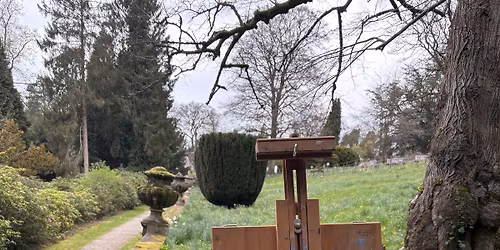 Art Exhibition by Michelle Bird