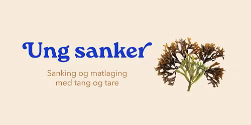 Ung sanker: Sanking og matlaging med tang og tare (15-30 \u00e5r)