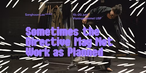 \u201cSometimes the Directive May Not Work as Planned\u201d av Sanghoon Lee