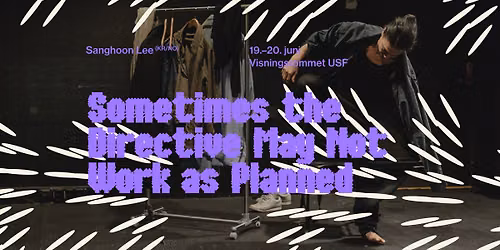 \u201cSometimes the Directive May Not Work as Planned\u201d av Sanghoon Lee
