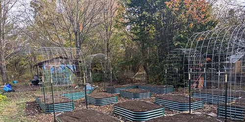 Kitchen Gardening Part 2