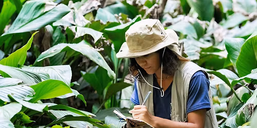 Po\u00ebzie in het wild: op hoopsafari met Lotte Dodion