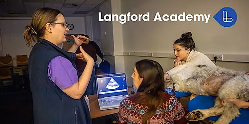 Veterinary Echocardiography Course