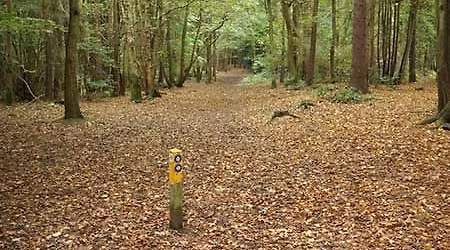Hartshill Hayes Country Park - Midlands Bullie Walks