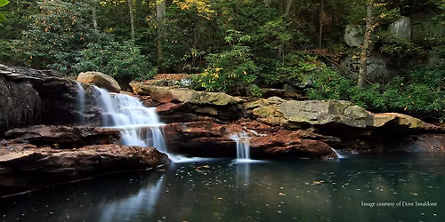 Creekside Coffee