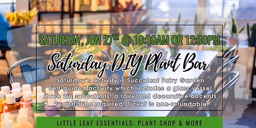 DIY Plant Bar - Succulent Fairy Gardens (10:30am or 12:30pm)