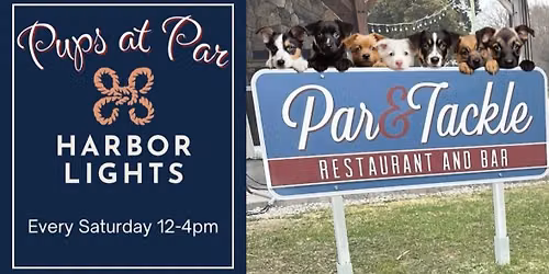 Pups at Par