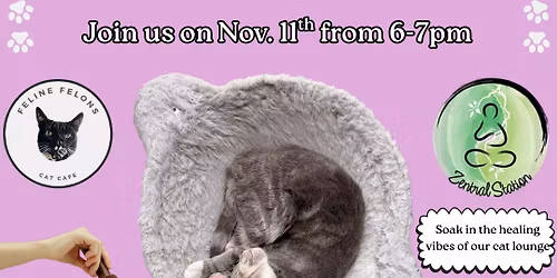 Meows and Meditation Sound Bath