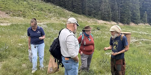 Spring Wild Food and Medicine Plant Walk
