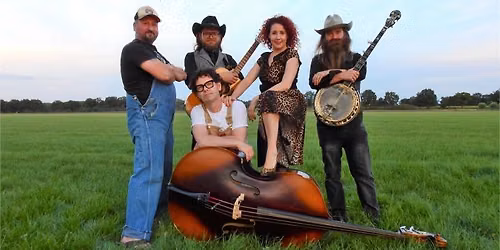 Hillbilly Hayride: Bluegrass met een punky randje
