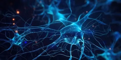 Quantum Biofeedback: Understanding Stress & Energy Balance