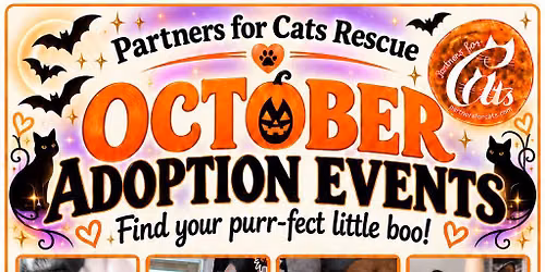 Partners For Cats Adoption Event