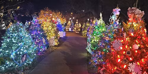 Shine On Chillicothe Tree Lighting! 
