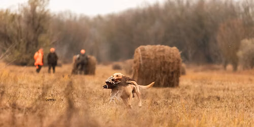 CACIT\/CACT RETRIEVER FIELD TRIAL