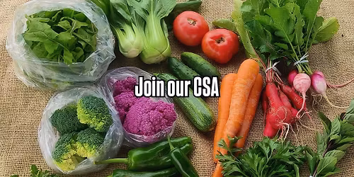 CSA Sign-up