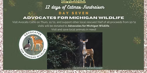 12 Days of Catmas Day 7: Featuring Advocates for Michigan Wildlife